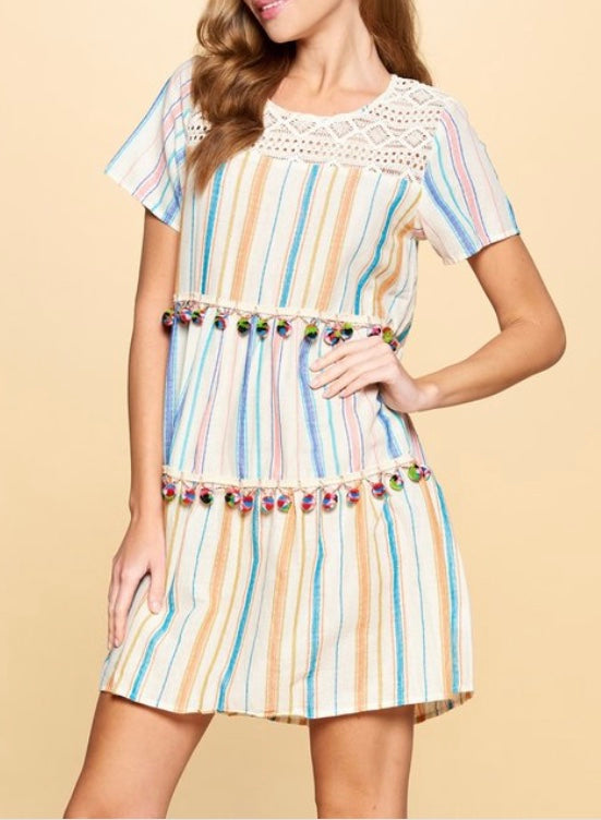 Pretty in Pom Poms Dress (S-3X)